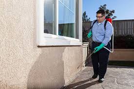 Quality Pest Control Services in Centurion